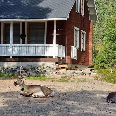 Riekko Chalet Rovaniemi Ngoại thất bức ảnh