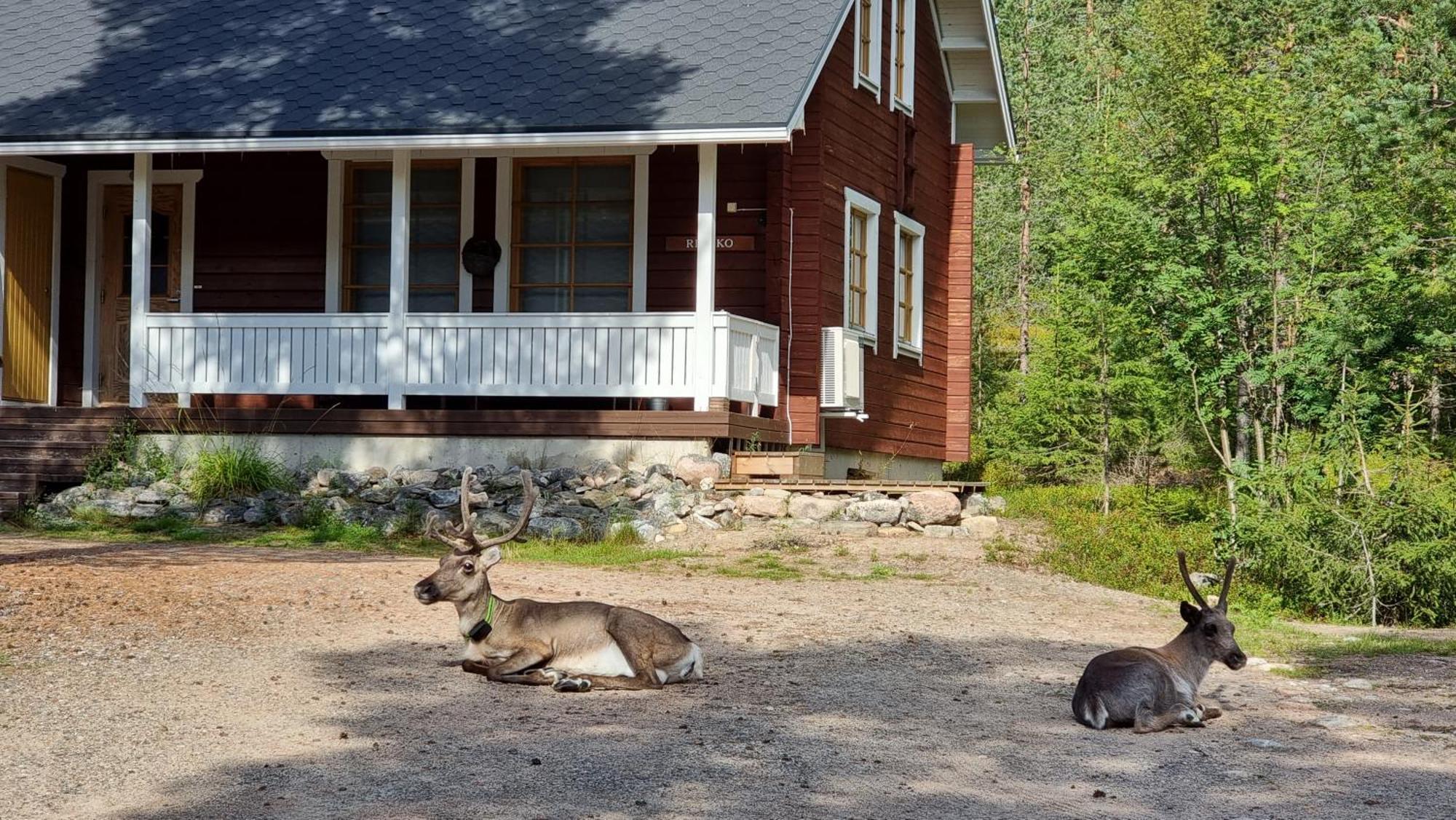 Riekko Chalet Rovaniemi Ngoại thất bức ảnh