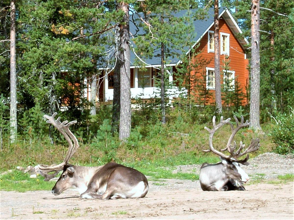 Riekko Chalet Rovaniemi Ngoại thất bức ảnh